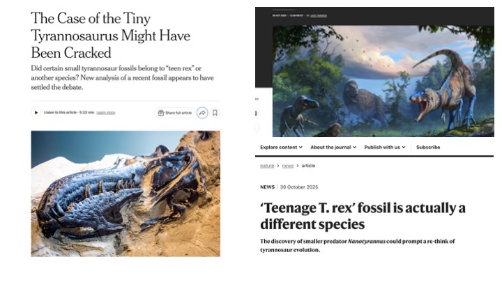 Images of the various news articles announcing the discovery